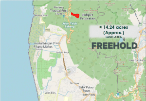 For Sale : Teluk Bahang Agricutural Land