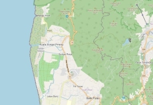 For Sale : Teluk Bahang Agricutural Land